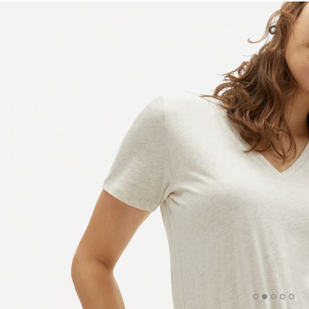 Everlane Cotton V-Neck Tee in Heathered Oat